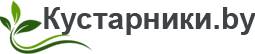 Логотип организации